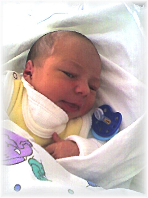 004_2006.jpg - 85982 Bytes