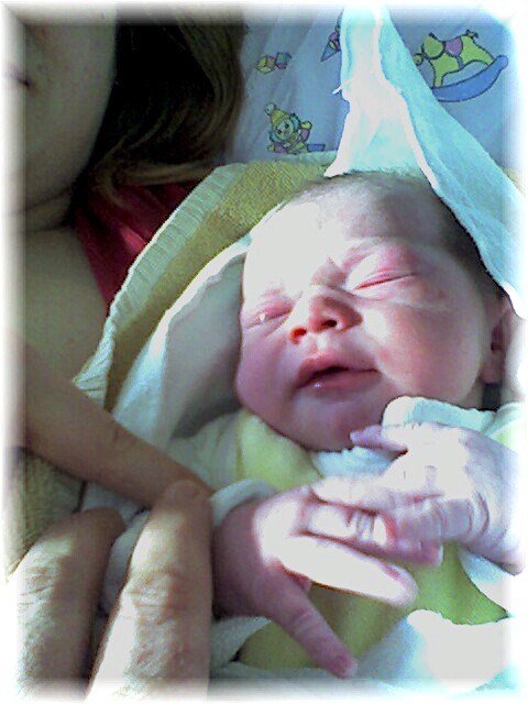 008_2006.jpg - 71186 Bytes