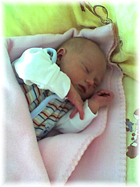 009_2006.jpg - 65644 Bytes