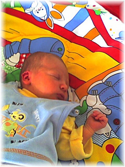 010_2006.jpg - 65644 Bytes