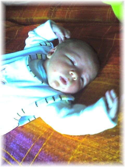 011_2006.jpg - 65644 Bytes