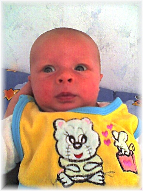 012_2006.jpg - 82339 Bytes