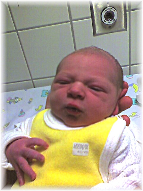 013_2006.jpg - 82339 Bytes