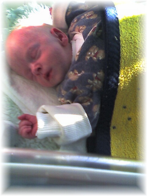 015_2006.jpg - 69280 Bytes