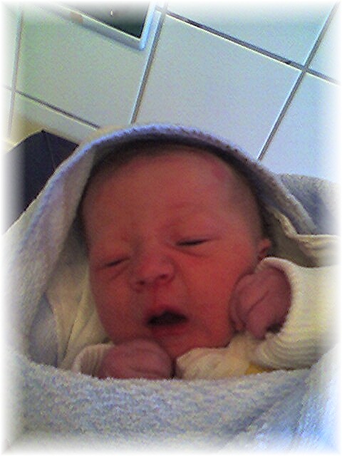 016_2006.jpg - 69280 Bytes