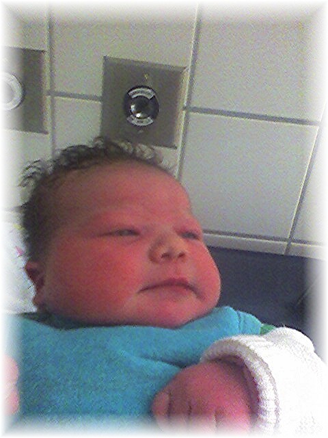 017_2006.jpg - 69280 Bytes