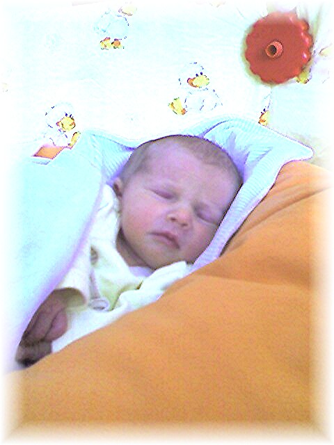 018_2006.jpg - 69280 Bytes