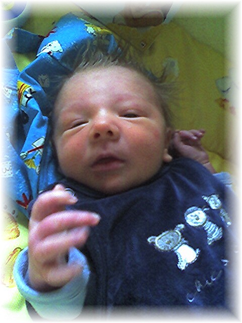 019_2006.jpg - 69280 Bytes