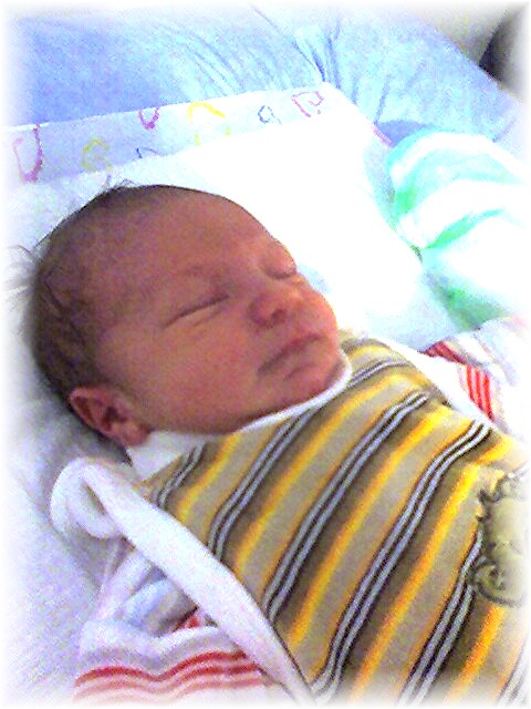 020_2006.jpg - 69280 Bytes