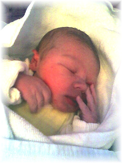 021_2006.jpg - 69280 Bytes