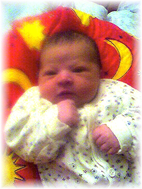 022_2006.jpg - 69280 Bytes