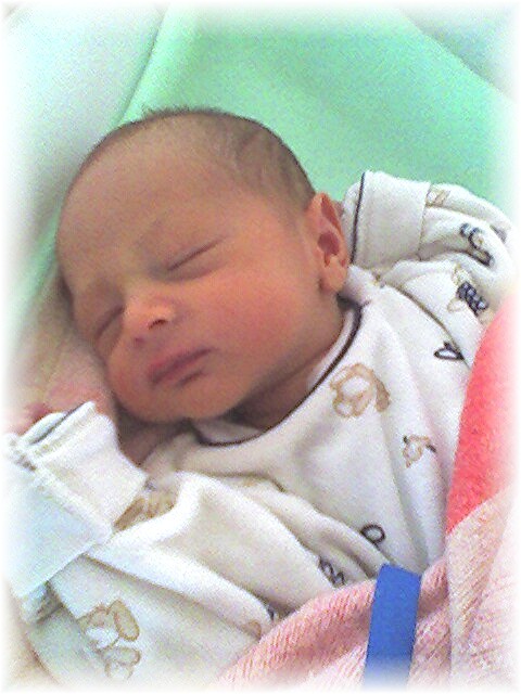 023_2006.jpg - 69280 Bytes