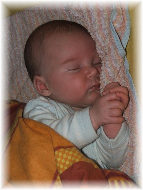 023a_2006.jpg - 69280 Bytes