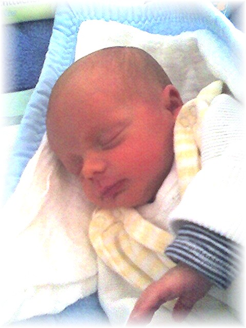 024_2006.jpg - 69280 Bytes