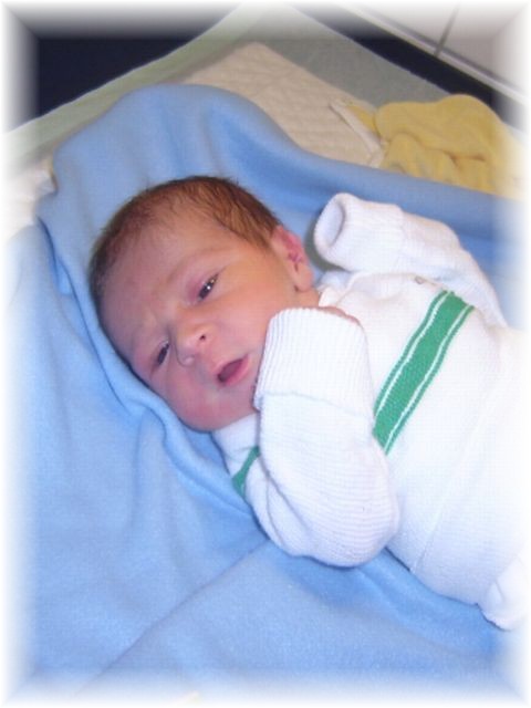 025_2006.jpg - 69280 Bytes