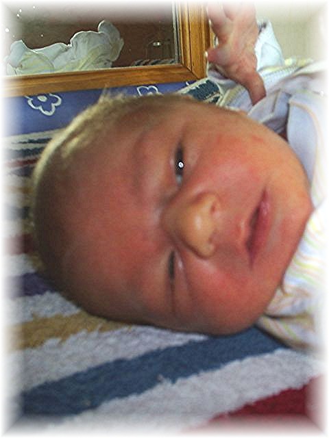 026_2006.jpg - 69280 Bytes