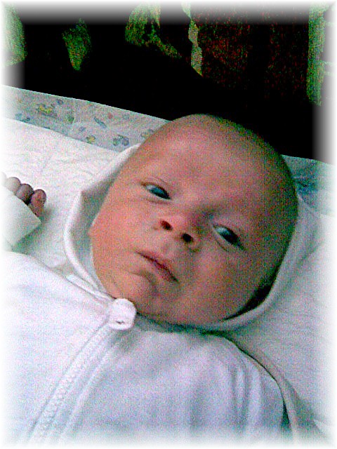 003a_2007.jpg - 98979 Bytes