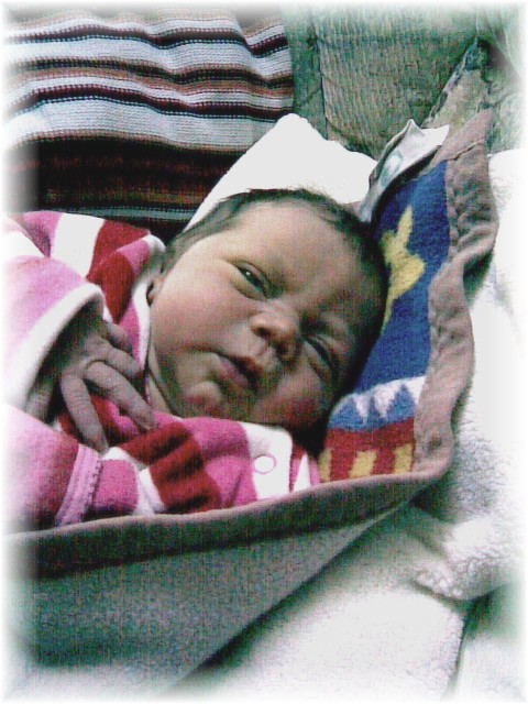 004_2007.jpg - 100142 Bytes