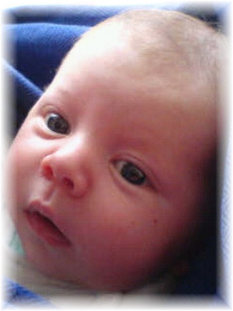 005_2007.jpg - 40181 Bytes