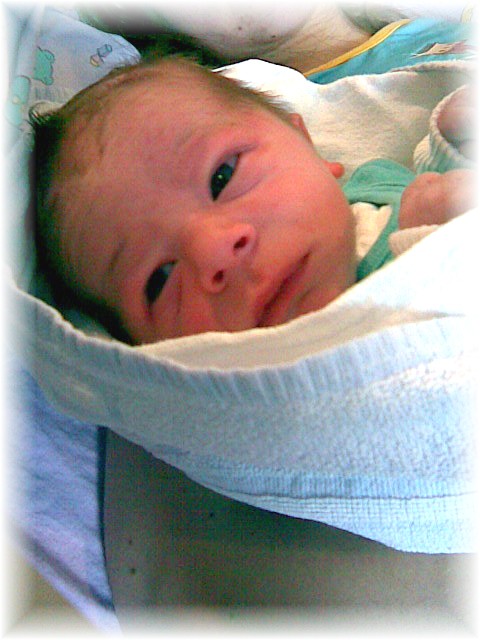 006_2007.jpg - 74316 Bytes