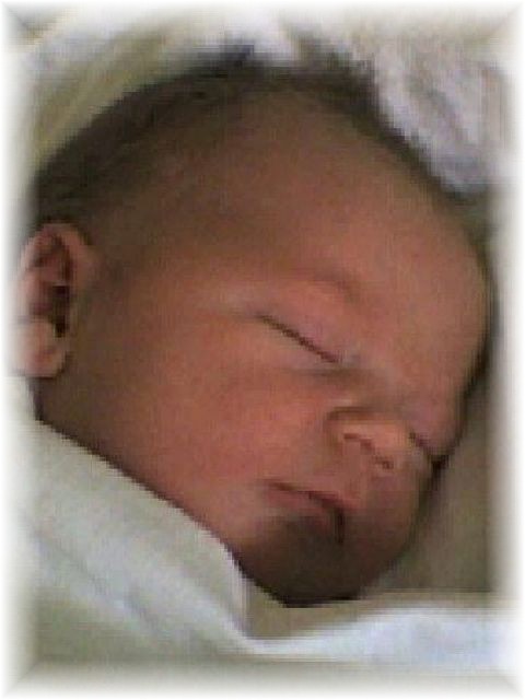 007_2007.jpg - 42682 Bytes