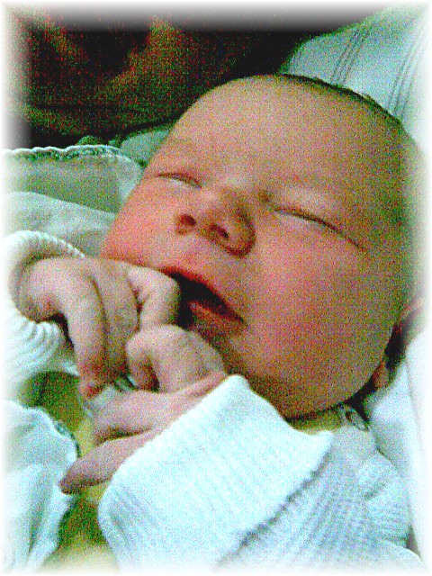 008_2007.jpg - 127877 Bytes