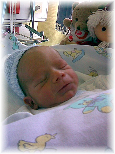 011_2007.jpg - 74836 Bytes