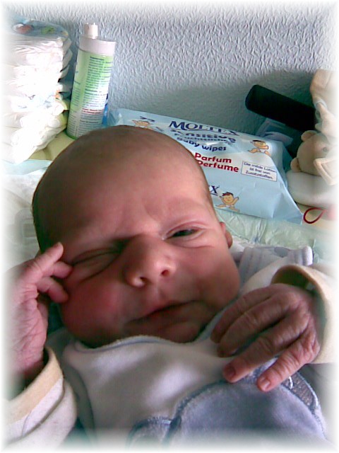 012_2007.jpg - 71884 Bytes