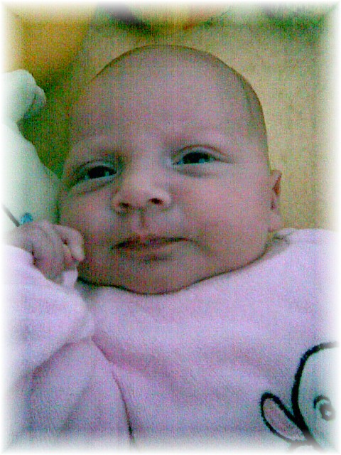 013_2007.jpg - 71884 Bytes