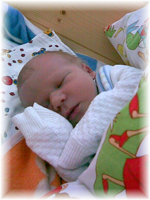 014_2007.jpg - 81168 Bytes