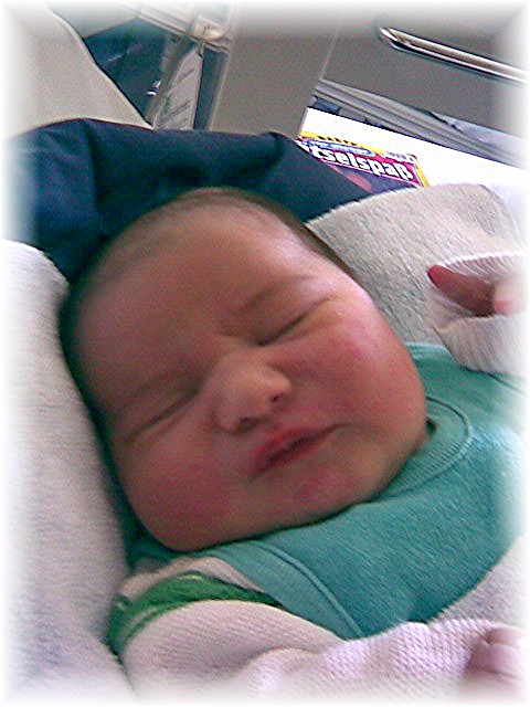 015_2007.jpg - 73460 Bytes