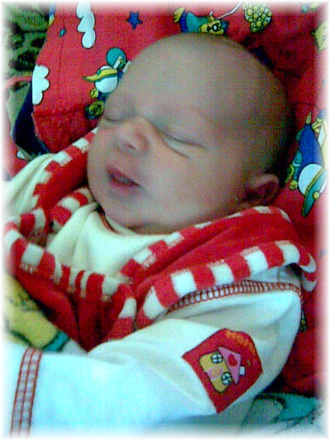 018_2007.jpg - 78766 Bytes