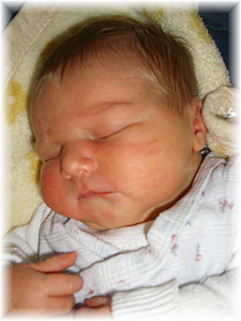 2007_28.jpg - 42169 Bytes