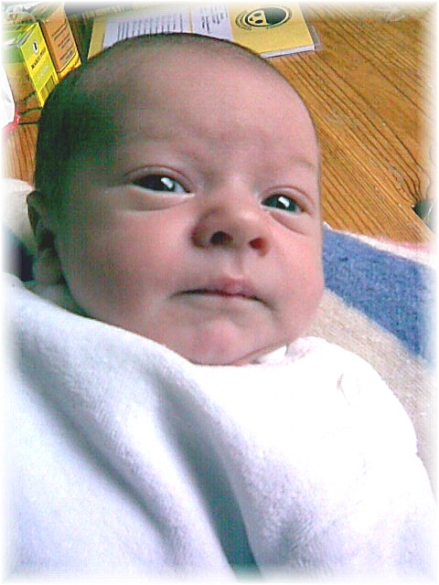 2007_29.jpg - 42169 Bytes