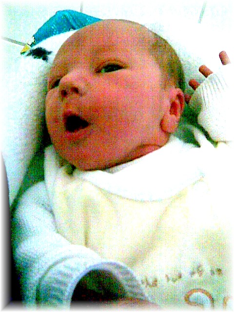 2007_30.jpg - 42169 Bytes