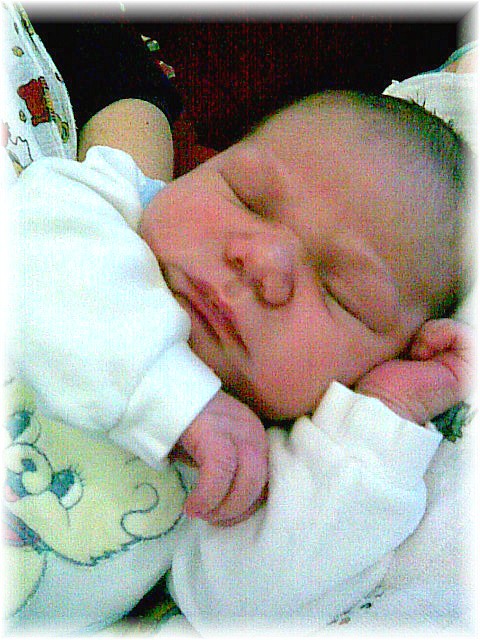 2007_31.jpg - 42169 Bytes