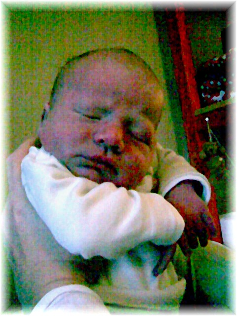 2007_33.jpg - 42169 Bytes