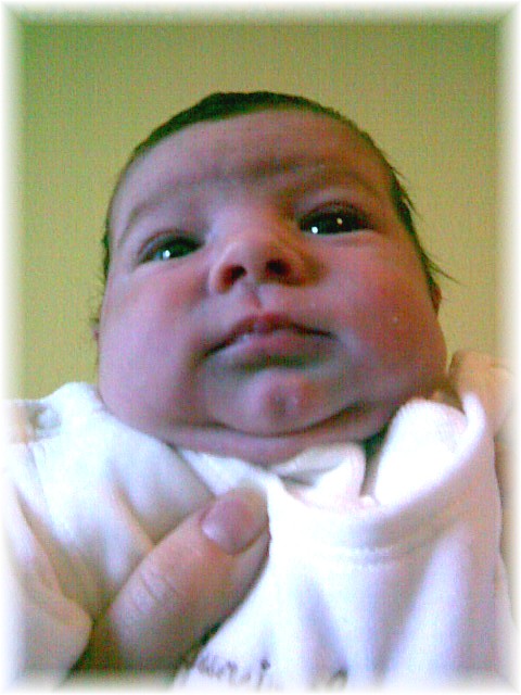 2007_34.jpg - 42169 Bytes