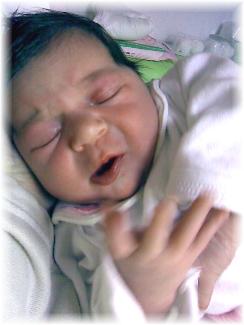 2007_36.jpg - 42169 Bytes