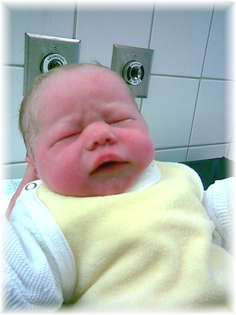 2007_38.jpg - 42169 Bytes