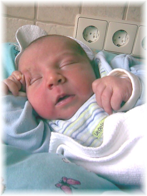 2007_39.jpg - 42169 Bytes