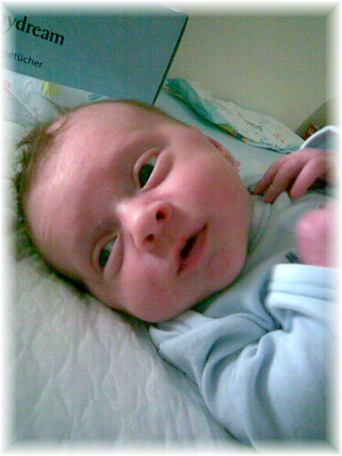 001_2008.jpg - 79494 Bytes