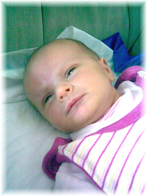 003_2008.jpg - 75653 Bytes