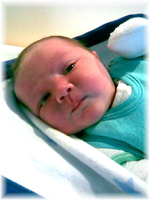 004_2008.jpg - 62071 Bytes