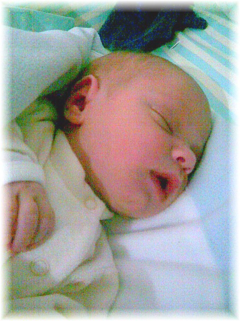 005_2008.jpg - 108876 Bytes