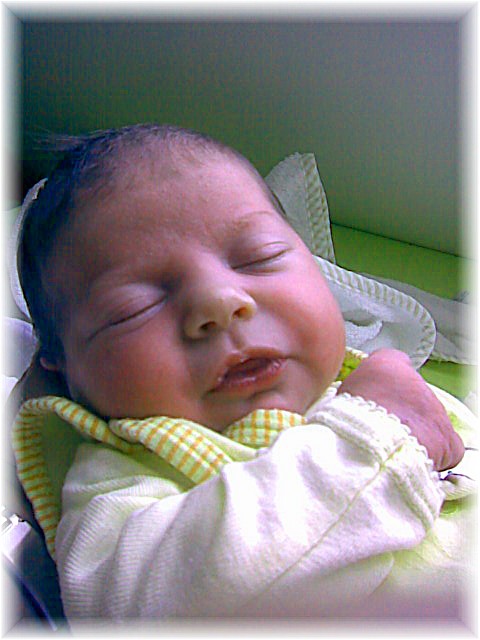 006_2008.jpg - 67826 Bytes