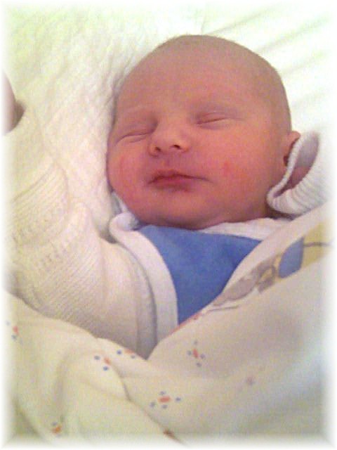 007_2008.jpg - 67826 Bytes