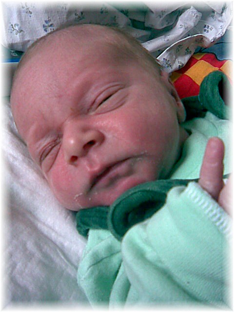 008_2008.jpg - 67826 Bytes