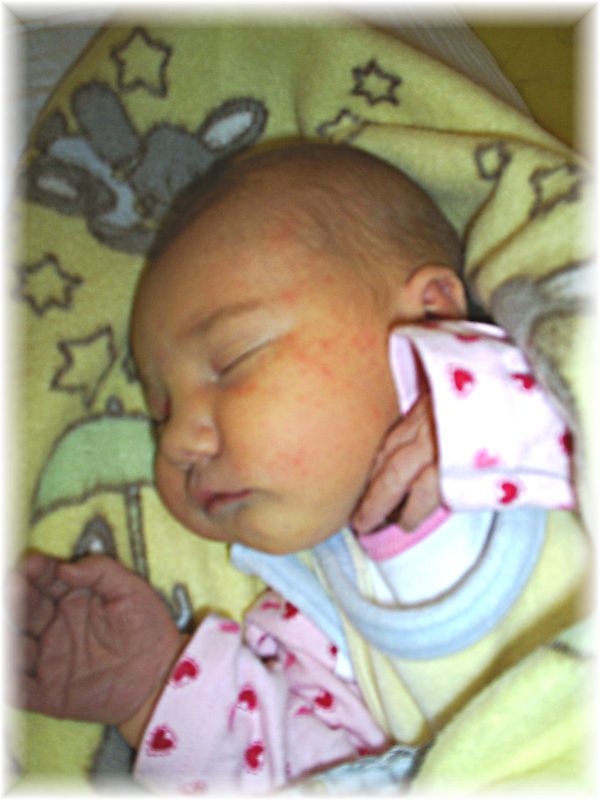 009_2008.jpg - 67826 Bytes