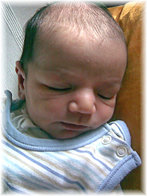 010_2008.jpg - 67826 Bytes